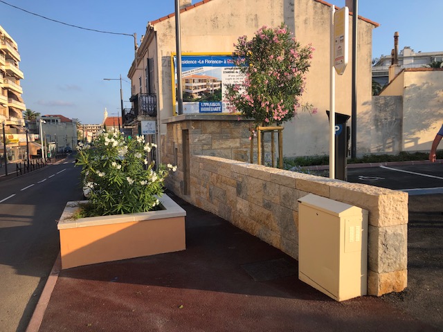 Chantier parking platanes cannes